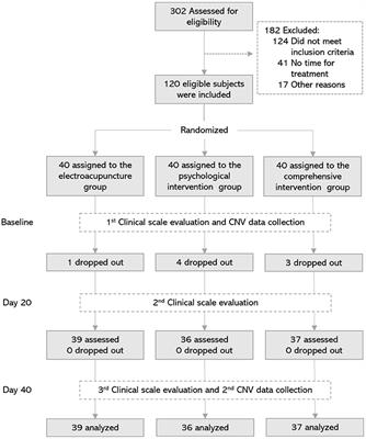 Effects of Electroacupuncture Combined With Psychological Intervention on Depressive Status and Contingent Negative Variation in Patients With Internet Addiction Disorder: A Randomized Controlled Trial